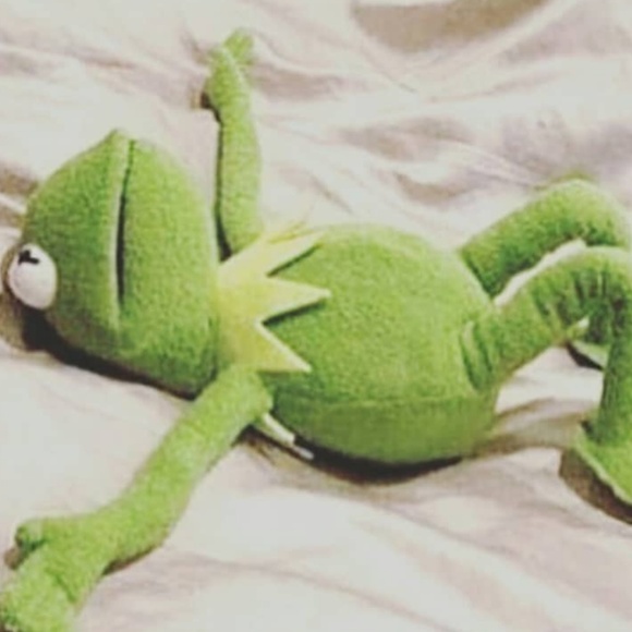 Meet your Posher, Sierra - Picture 1 of 1